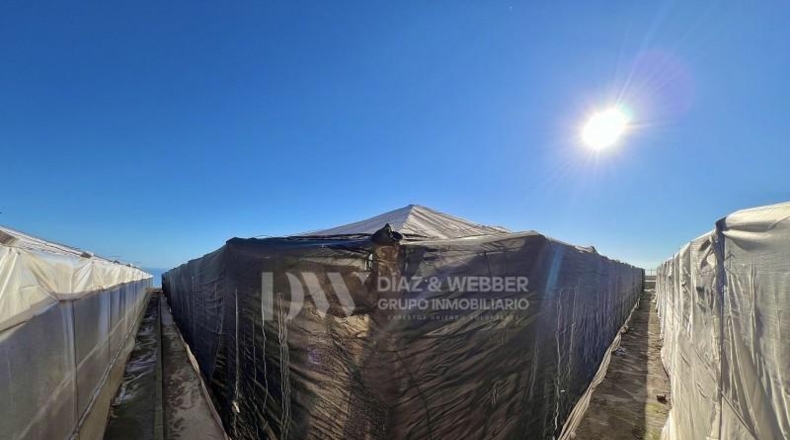 Málaga - Algarrobo - 7300m2