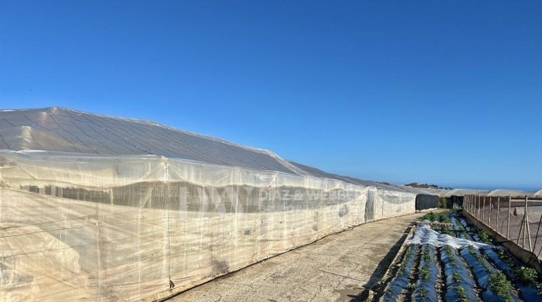 Málaga - Algarrobo - 7300m2