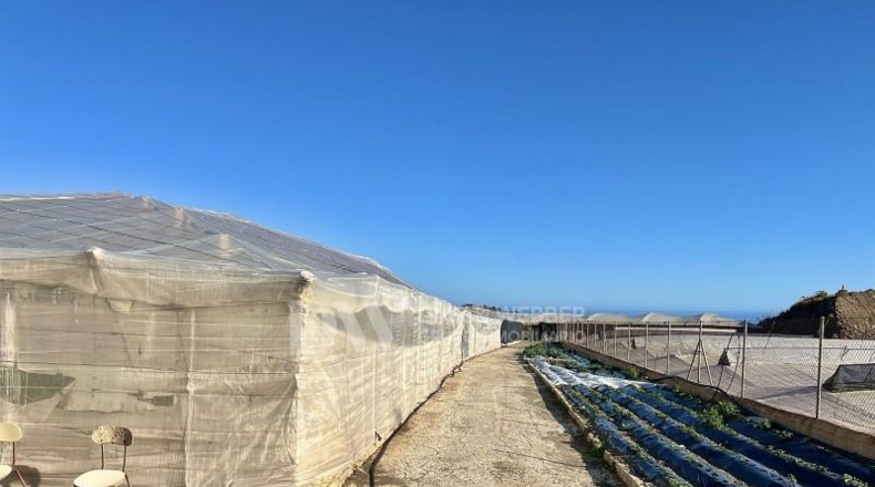 Málaga - Algarrobo - 7300m2