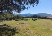 Parcel·la urbanitzable en venda a la España, Ortigosa del Monte, ref.: TR166099 foto