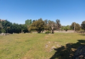 Parcel·la urbanitzable en venda a la España, Ortigosa del Monte, ref.: TR166099 foto