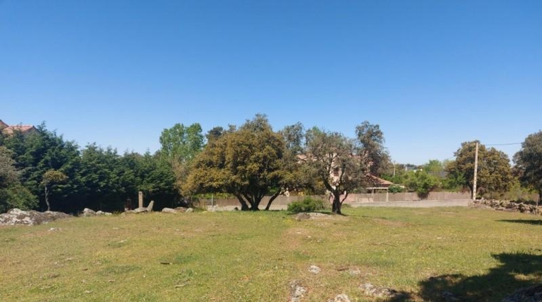 Segovia - Ortigosa del Monte - 8000m2