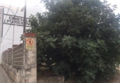 Non-developable land for sale on España, Pedreguer, ref: TR115224 photo