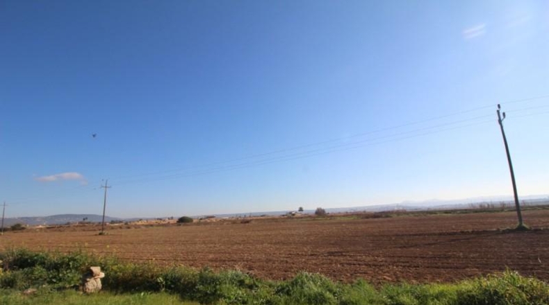 Islas Baleares - Palma - 39000m2