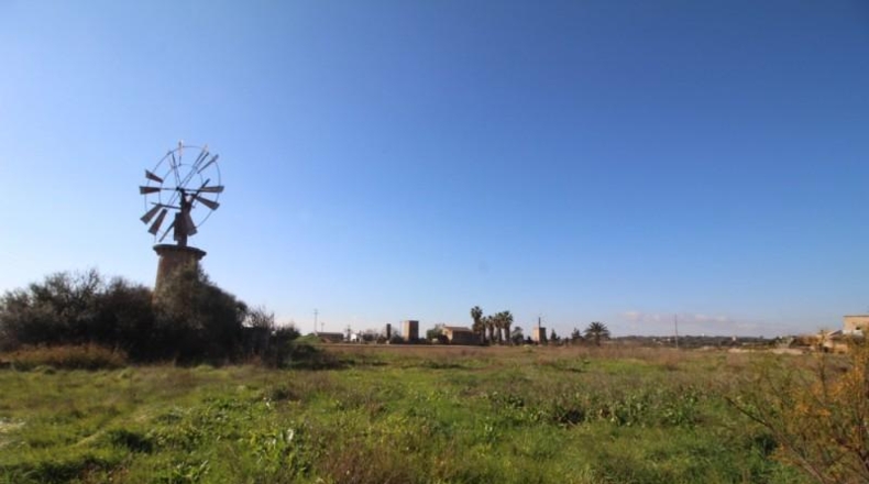 Islas Baleares - Palma - 39000m2