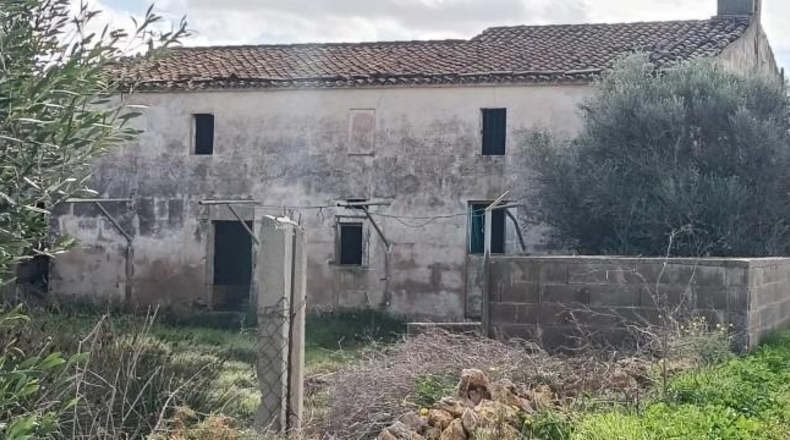 Islas Baleares - Palma - 39000m2