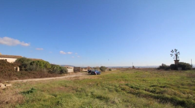Islas Baleares - Palma - 39000m2