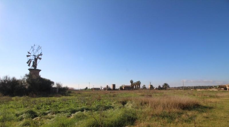 Islas Baleares - Palma - 39000m2