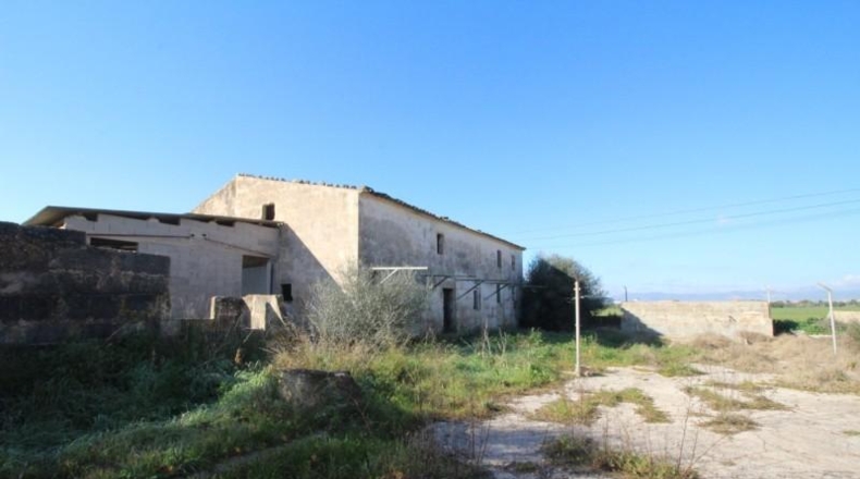 Islas Baleares - Palma - 39000m2