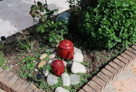 Foto 14