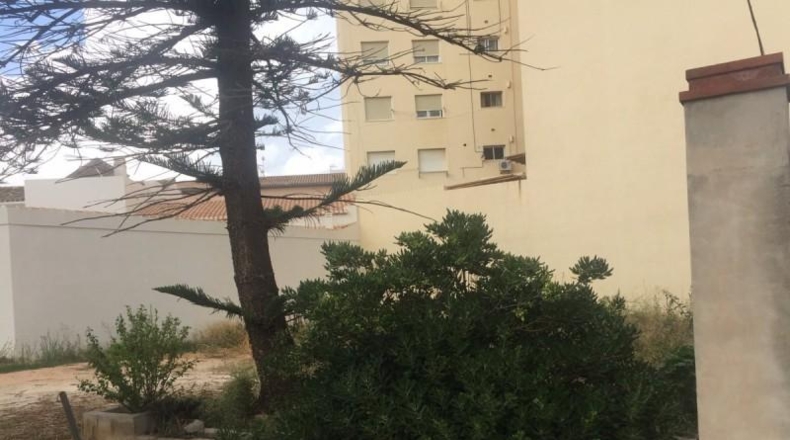 Alicante - Pedreguer - 749m2