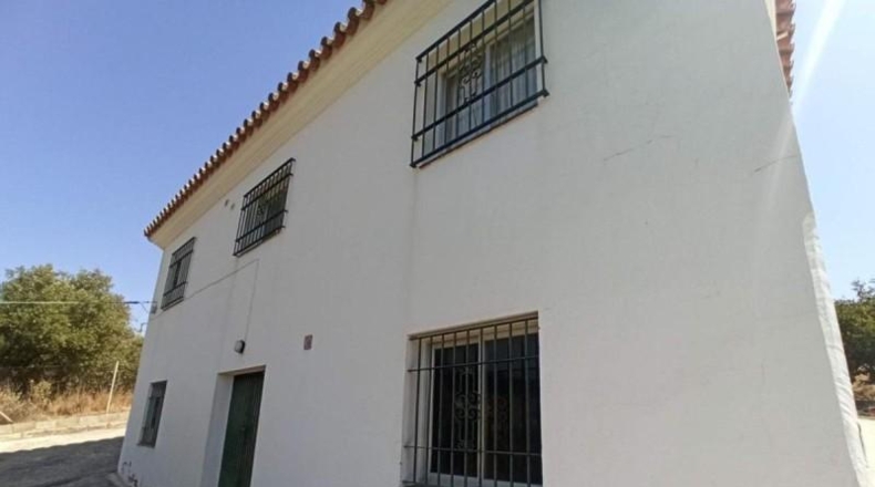 Malaga - Estepona - 5000m2