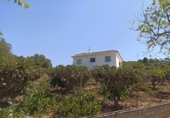 Xalet independent amb terreny en venda a la España, Estepona, ref.: TR333925 foto
