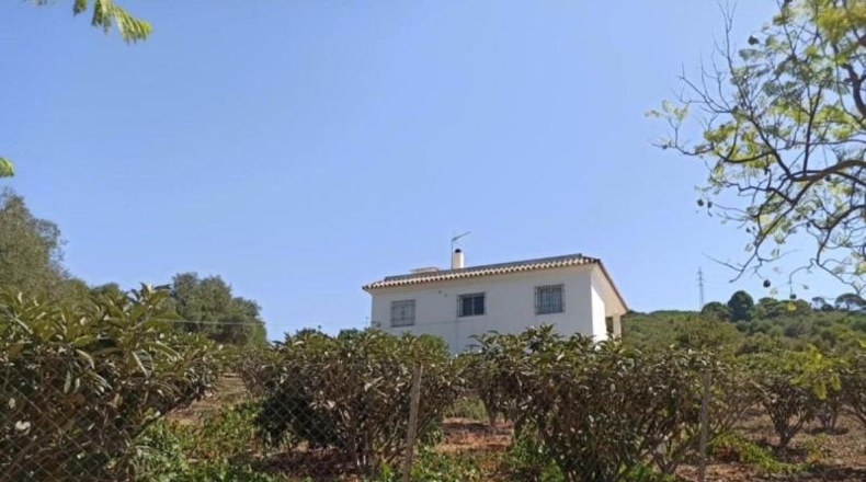 Malaga - Estepona - 5000m2