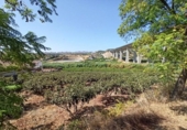 Xalet independent amb terreny en venda a la España, Estepona, ref.: TR333925 foto