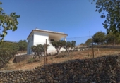 Xalet independent amb terreny en venda a la España, Estepona, ref.: TR333925 foto