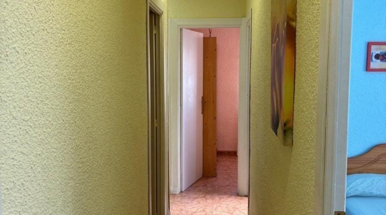Alicante - Torrevieja - 450m2