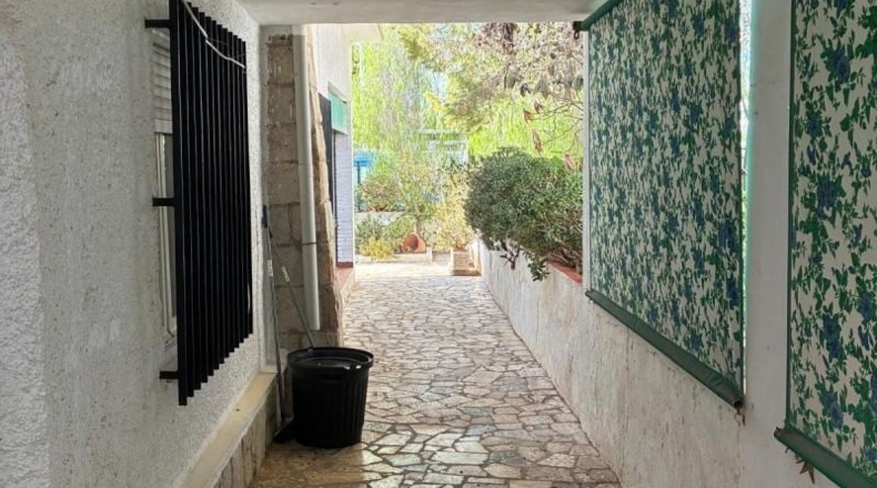 Alicante - Torrevieja - 450m2