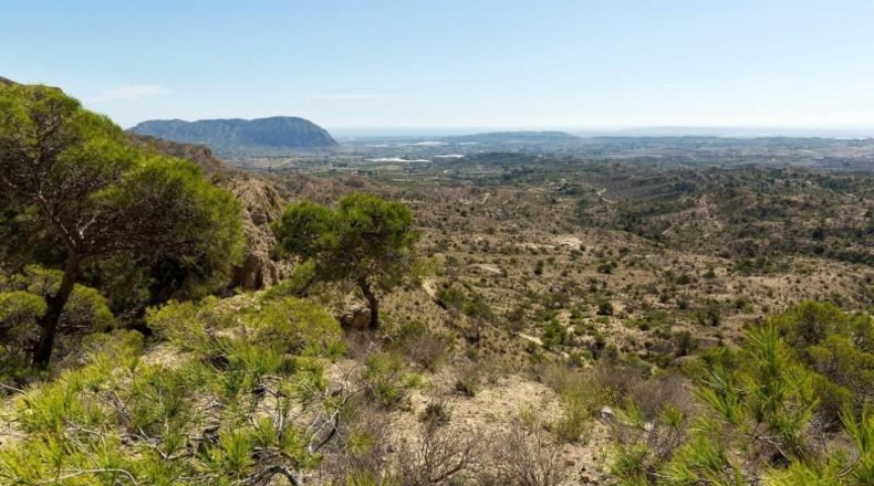 Alicante - Aspe - 420m2