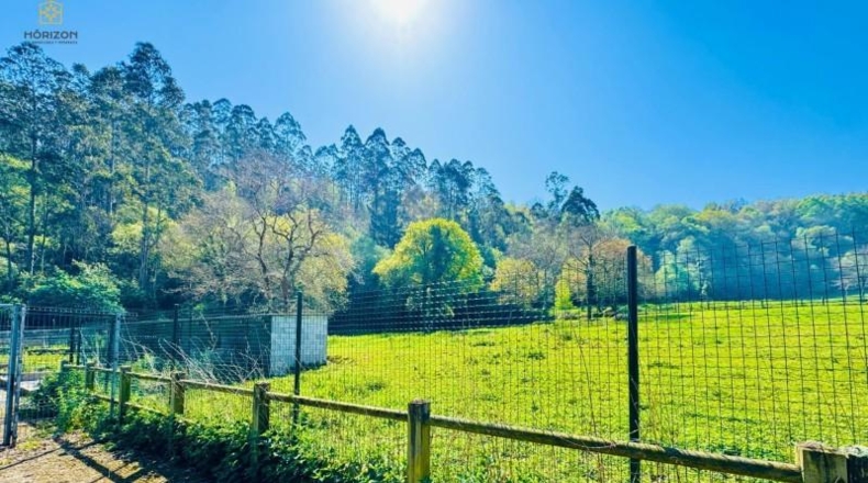 Asturias - Villaviciosa - 40000m2