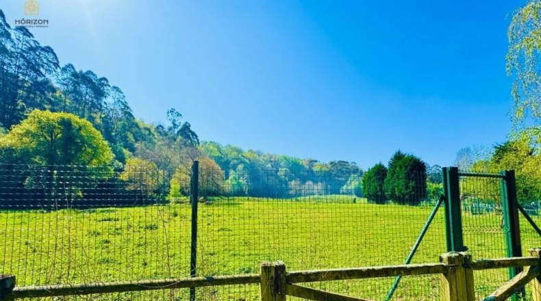Asturias - Villaviciosa - 40000m2