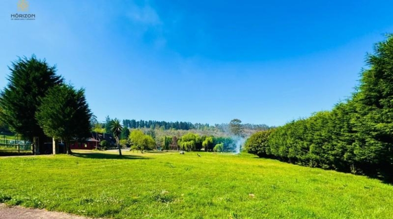 Asturias - Villaviciosa - 40000m2
