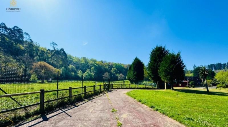 Asturias - Villaviciosa - 40000m2