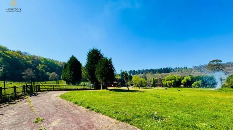 Asturias - Villaviciosa - 40000m2