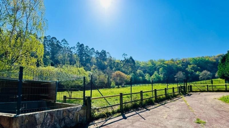 Asturias - Villaviciosa - 40000m2