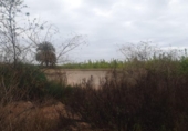 Terreny no urbanitzable en venda a la España, Sant Miquel de les Salines, ref.: TR156432 foto