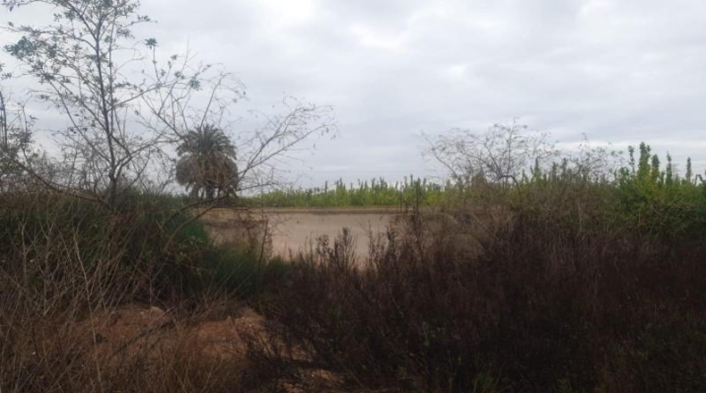 Alicante - San Miguel de Salinas - 34000m2