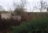 Terreny no urbanitzable en venda a la España, Sant Miquel de les Salines, ref.: TR156432 foto