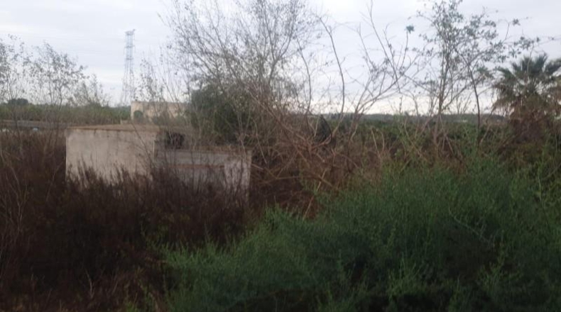 Alicante - San Miguel de Salinas - 34000m2