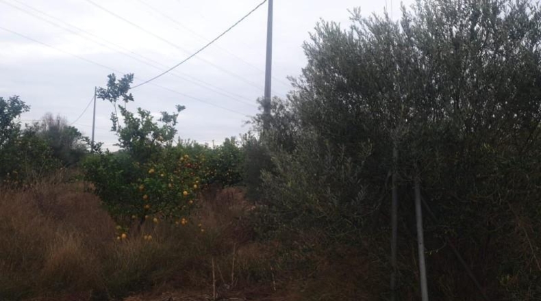 Alicante - San Miguel de Salinas - 34000m2
