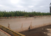 Terreny no urbanitzable en venda a la España, Sant Miquel de les Salines, ref.: TR156432 foto