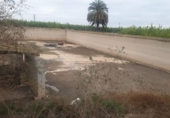 Terreny no urbanitzable en venda a la España, Sant Miquel de les Salines, ref.: TR156432 foto
