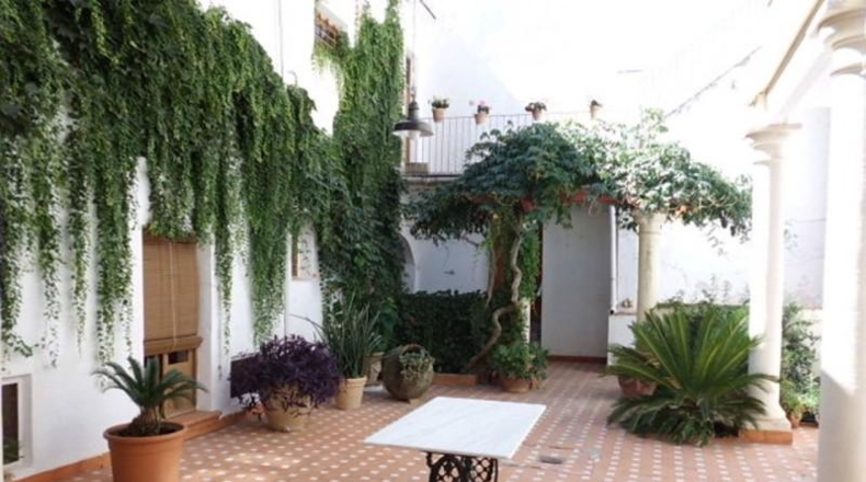 Albacete - Almansa - 800m2