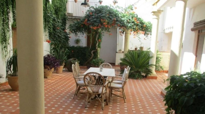 Albacete - Almansa - 800m2