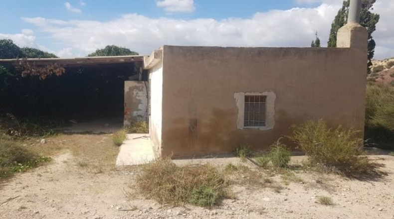 Alicante - Agost - 90000m2