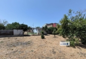 Chalet independiente con terreno en venta en la España, Estación de San Roque, ref: TR320077 foto