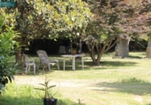Detached villa with land for sale on España, Padrón, ref: TR264993 photo