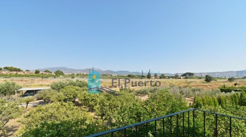 Murcia - Murcia - 4573m2