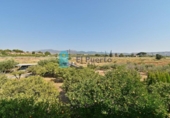 Casa de campo con terreno en venta en la España, Murcia, ref: TR309219 foto