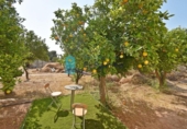 Casa de campo con terreno en venta en la España, Murcia, ref: TR309219 foto
