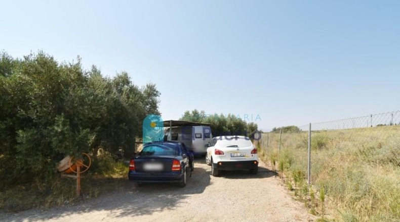 Murcia - Murcia - 4573m2