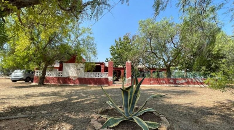 Murcia - Fuente Álamo de Murcia - 20000m2