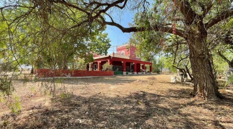 Murcia - Fuente Álamo de Murcia - 20000m2