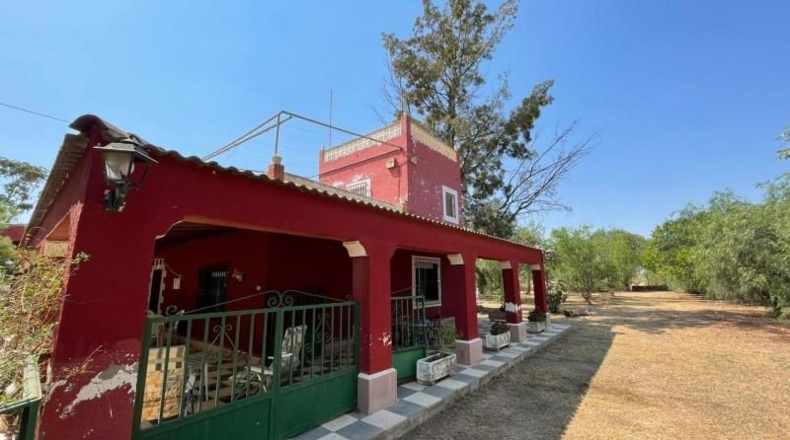 Murcia - Fuente Álamo de Murcia - 20000m2