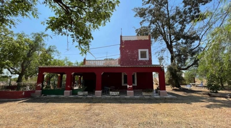 Murcia - Fuente Álamo de Murcia - 20000m2