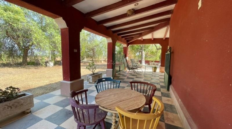 Murcia - Fuente Álamo de Murcia - 20000m2